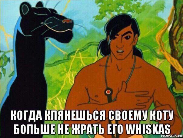 картинка 663ad15e62 20782837