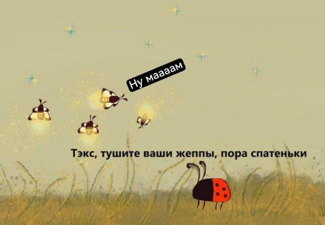 картинка 6a2a8d99f7 20722888