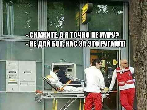 картинка 6af5e529d7 20723071