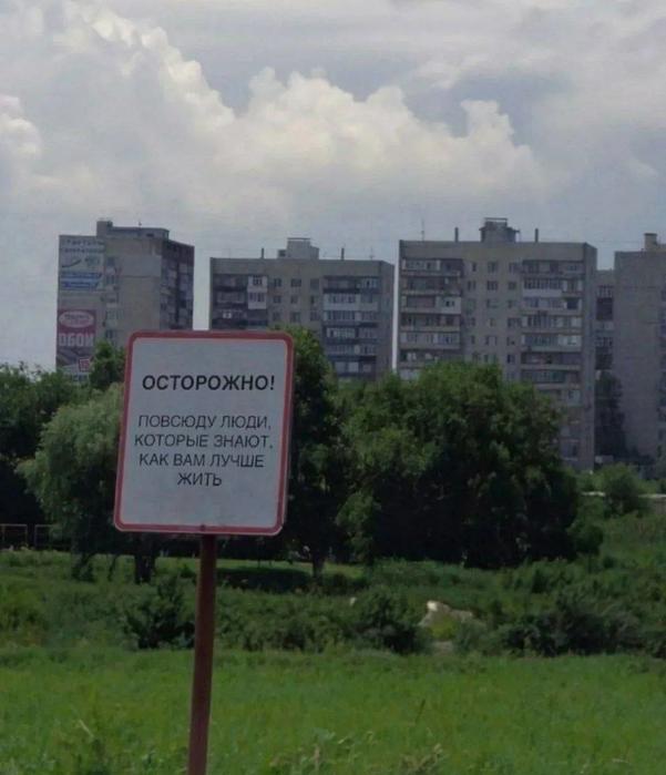 картинка 6afa384bdb 20742462