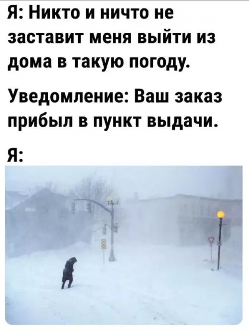 картинка 6e38988267 20747950