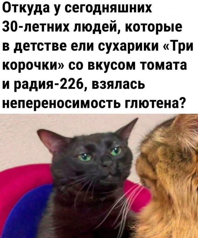 картинка 736f14f9bd 20722063