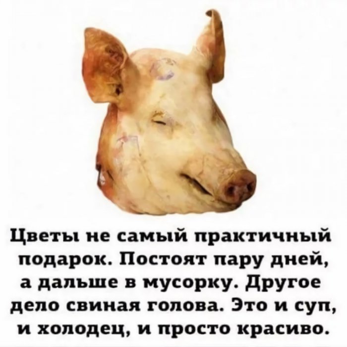 картинка 7578cbd903 svezhie shutki memy i kartinki dlja vashego otlichnogo nastroenija 17