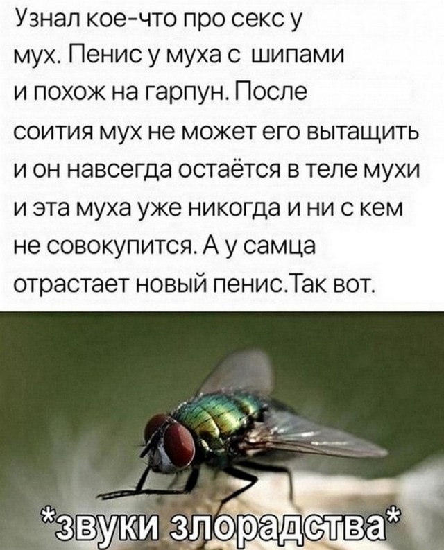 картинка 7928668c56 20748253