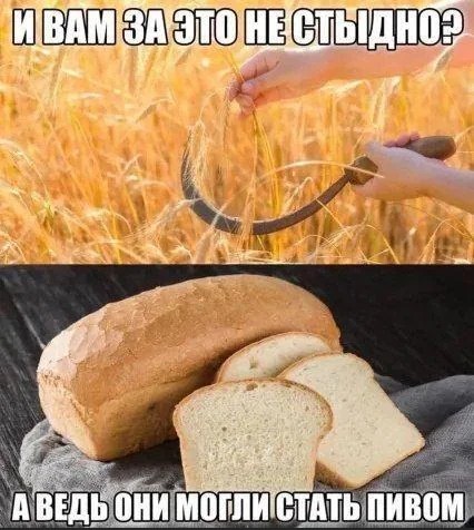 картинка 7a905322ce 20704869