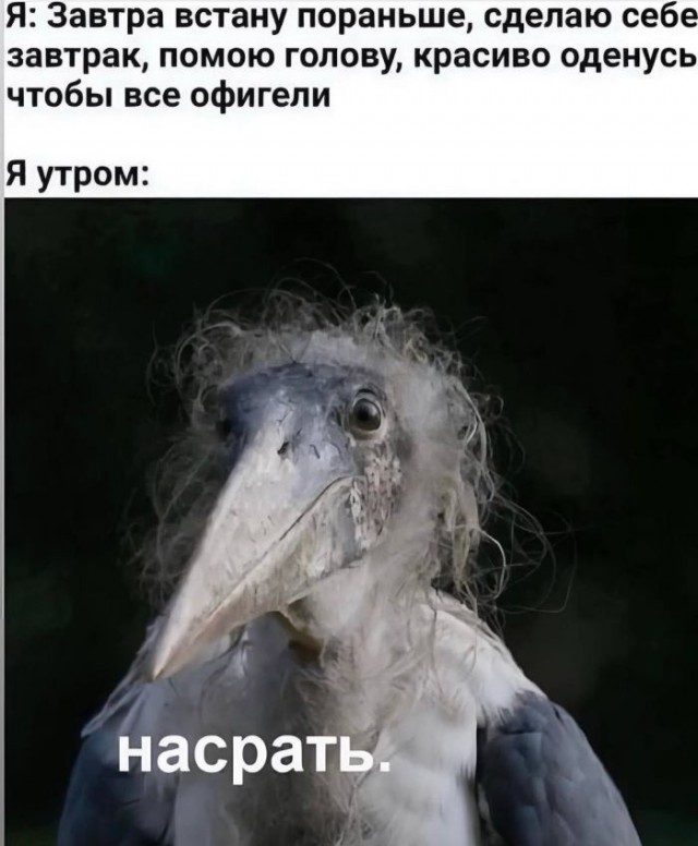 картинка 7b3a6a6771 20722880