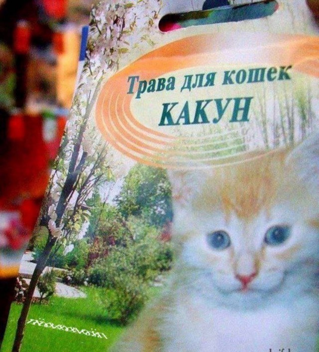 картинка 7e95b1b23e 20704228