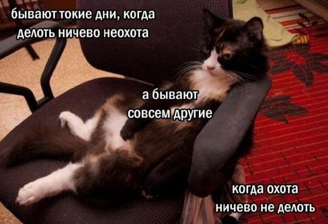 картинка 822808ff73 20782835