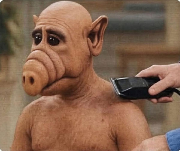 картинка 8a35df1be1 malenkaja pjatnica uzhe zdes gotovy zarjaditsja pozitivom i posmejatsja ot dushi 00