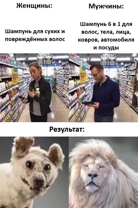 картинка 8b7a9cf7b4 20702426