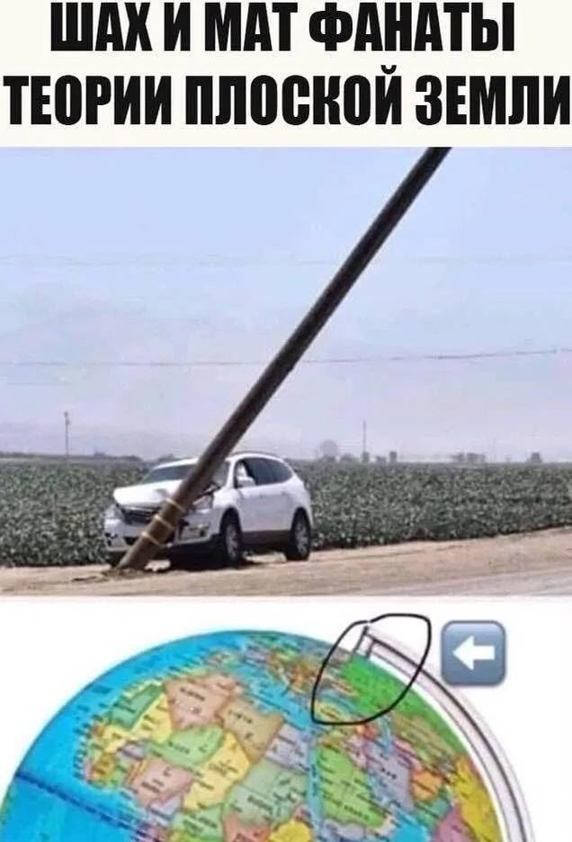 картинка 8e510185d7 20720242