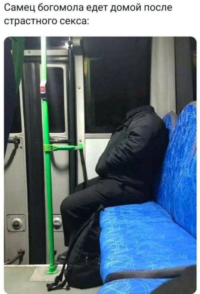 картинка 8f999b1500 20704583