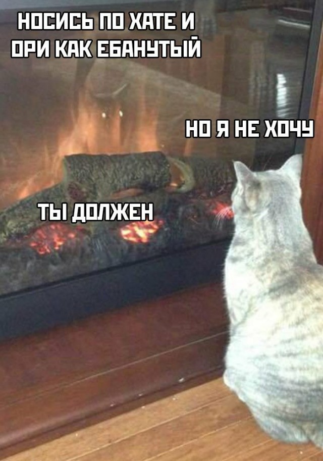 картинка 91f71c12c7 20722899