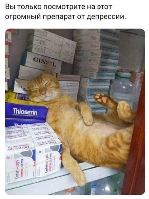 картинка 98d9b41d5a 0000000000