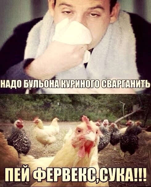 картинка 999a24b995 20742529