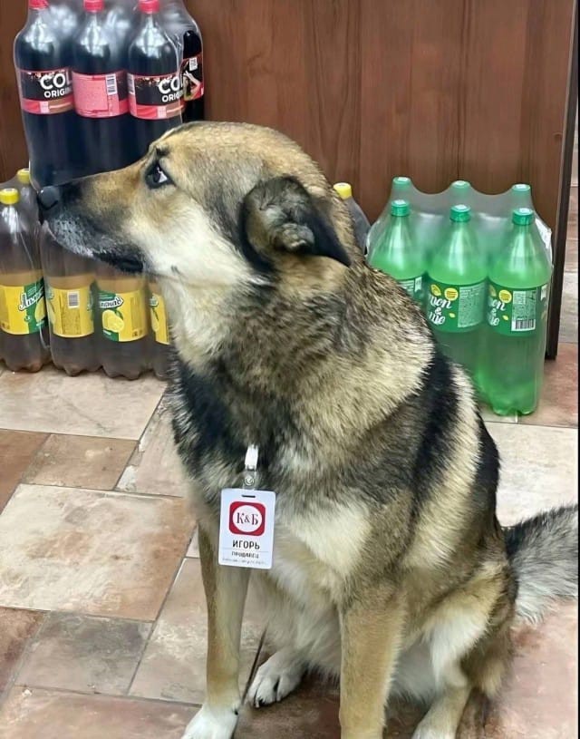 картинка 9c7048e56a 20759611