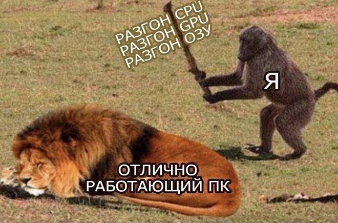 Большой сборник приколов в пятницу! native-yes