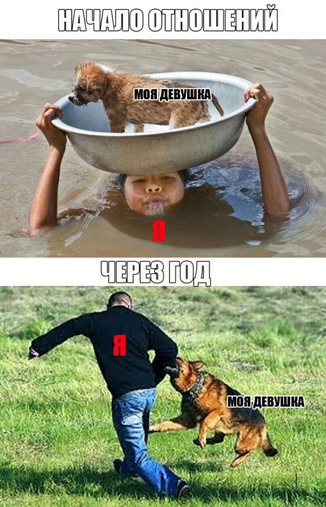 картинка a01fac0e2b 20723078