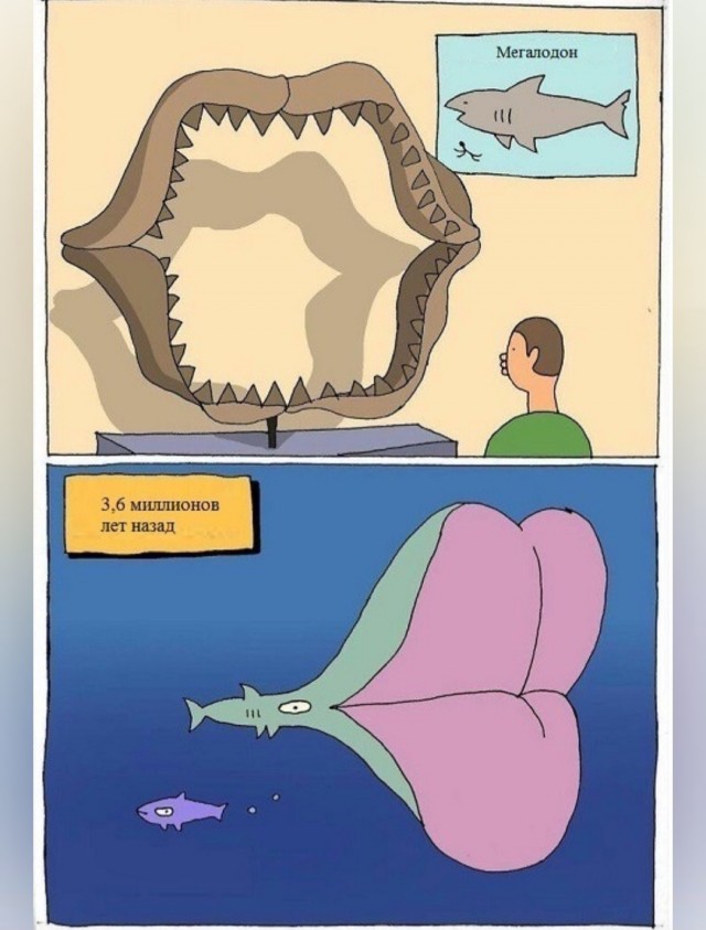 картинка a09b08c807 20759379