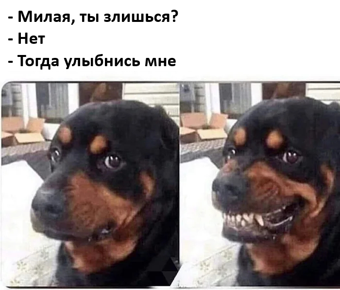 картинка a0cad5dacc 000000