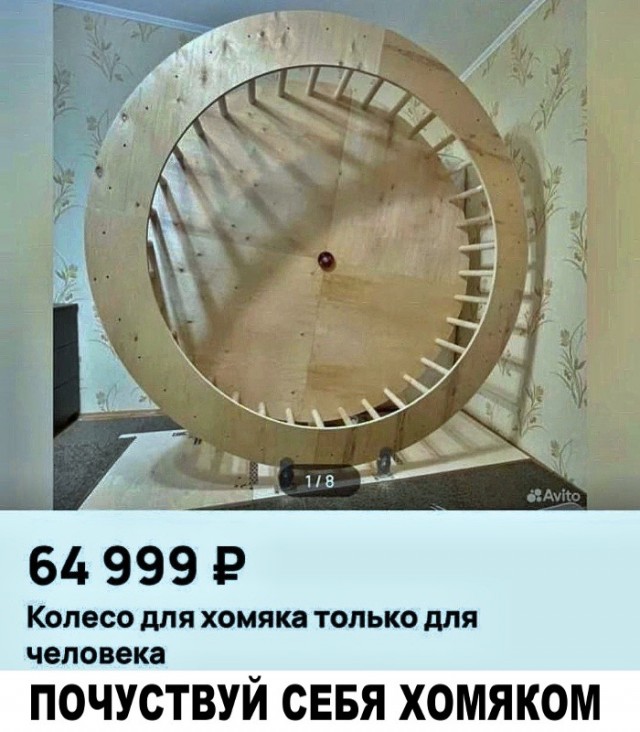 картинка a343ae67b9 20742070