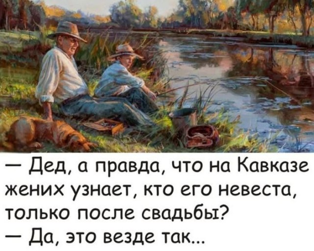 картинка a41fde0b36 20720240