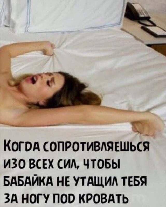 картинка a46f883364 ustali ot milyh kotikov i shutok pro pogodu togda vam sjuda 0