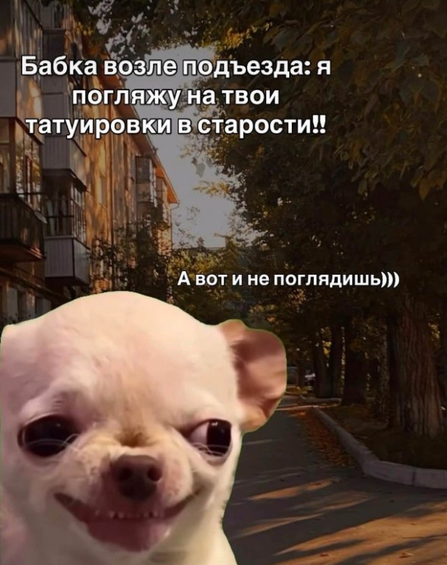 картинка a56106d07d 20760355