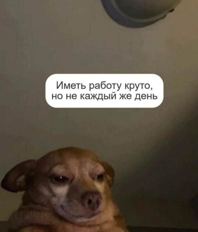 картинка a58ff3d0e5 20747976