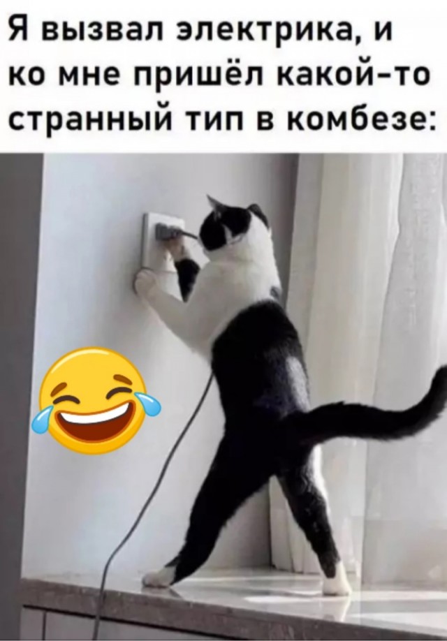 картинка a8d0f2a1b0 20759237