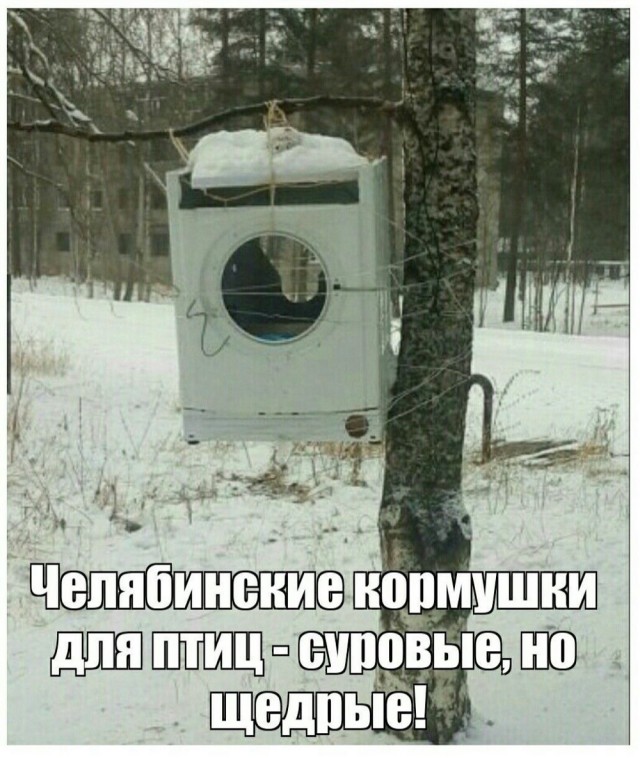 картинка ab7346fe80 20741980