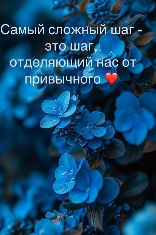 картинка aca54d1753 20760521