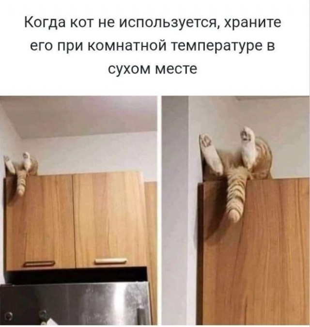 картинка af384297c0 svezhie shutki memy i kartinki dlja vashego otlichnogo nastroenija 11