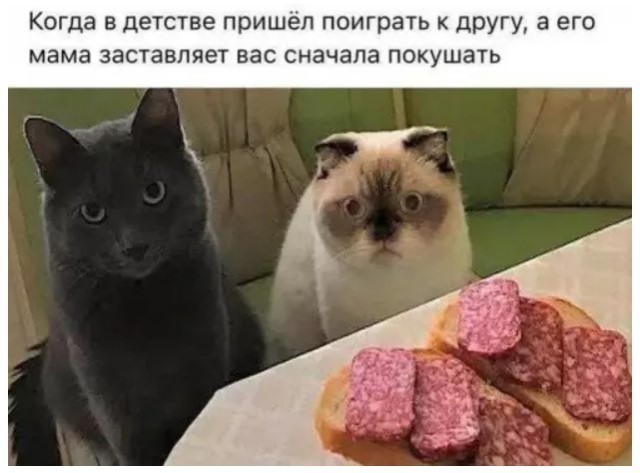 картинка af73381f0d 20701696