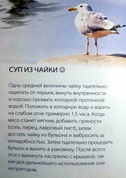 картинка b0406b03be 20722233