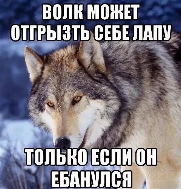 картинка b09773e2dc ostorozhno chernyj jumor samye svezhie memy i kartinki dlja teh kto ponimaet 19