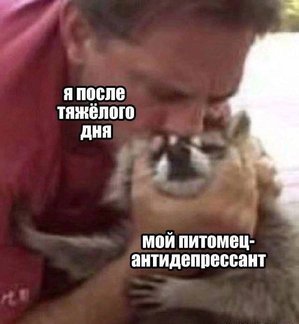 картинка b09dc61a7d 0000000