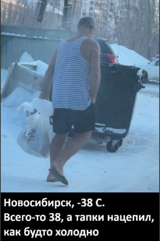 картинка b35457f2bb 20740888