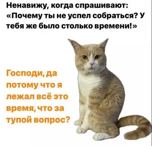 картинка b4743cd66f 20701687