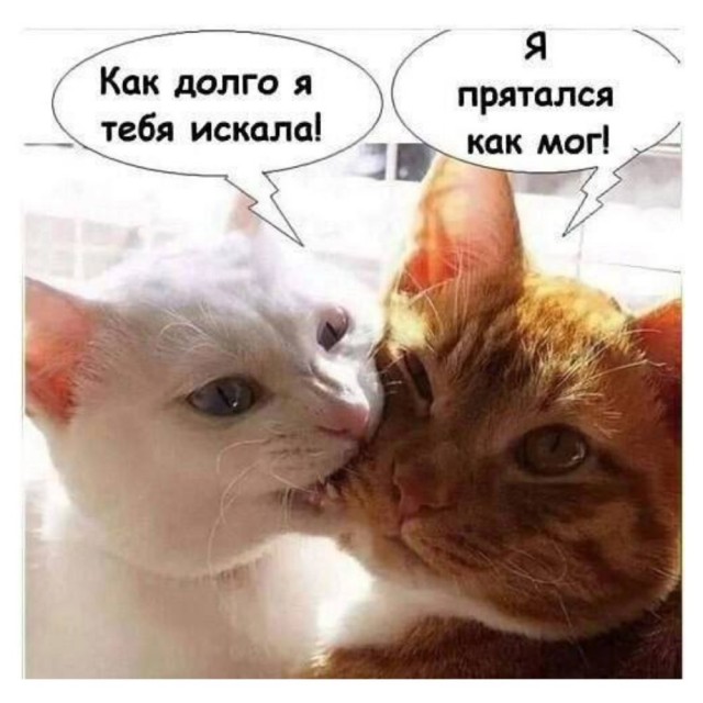 картинка b4db2d20b5 20698565