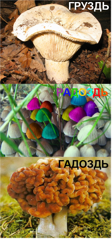 картинка b4db5f364b 20723084