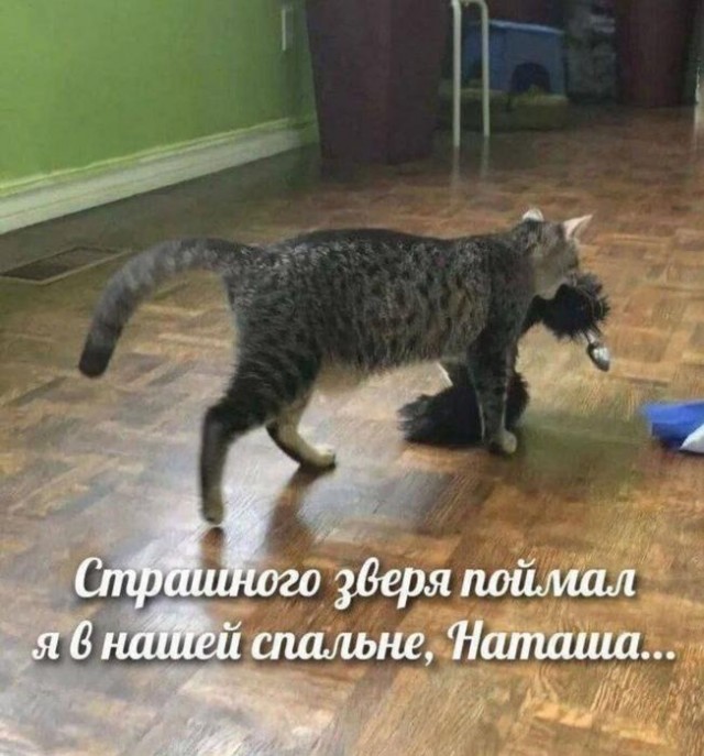 картинка b5d96ef2dd 20722919