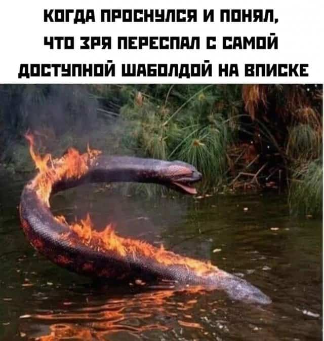 картинка b61189abcc 20760142