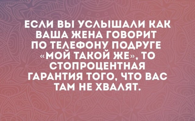 картинка b8bb04d069 20723002