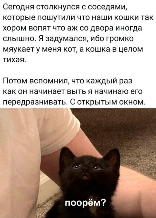 Выходные на позитиве: свежая порция юмора для отличного настроения! native-yes