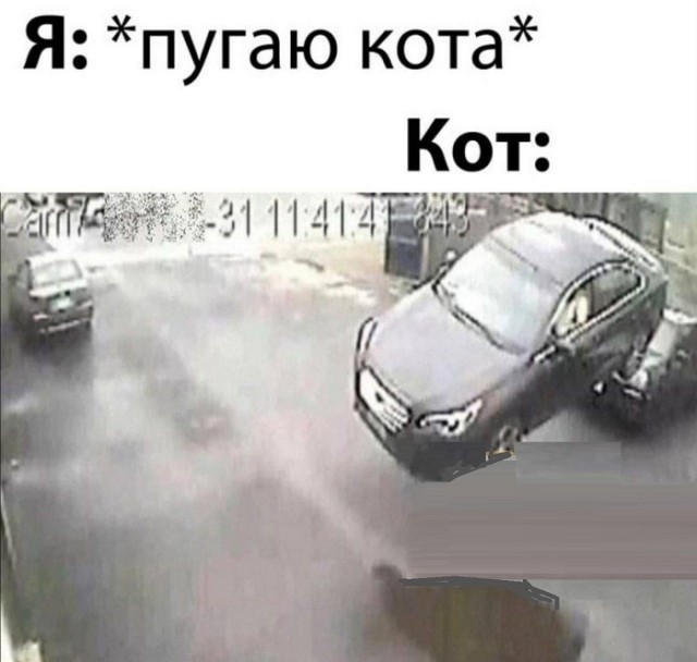 Выходные на позитиве – это реально! Встречайте новый сборник убойных мемов! native-yes