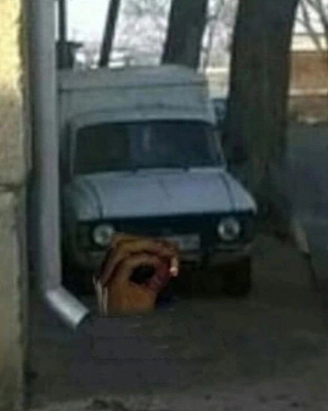 картинка c13fd339e0 20701359