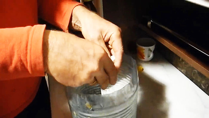 картинка c287724164 kak vyraschivat belye griby na podokonnike 6