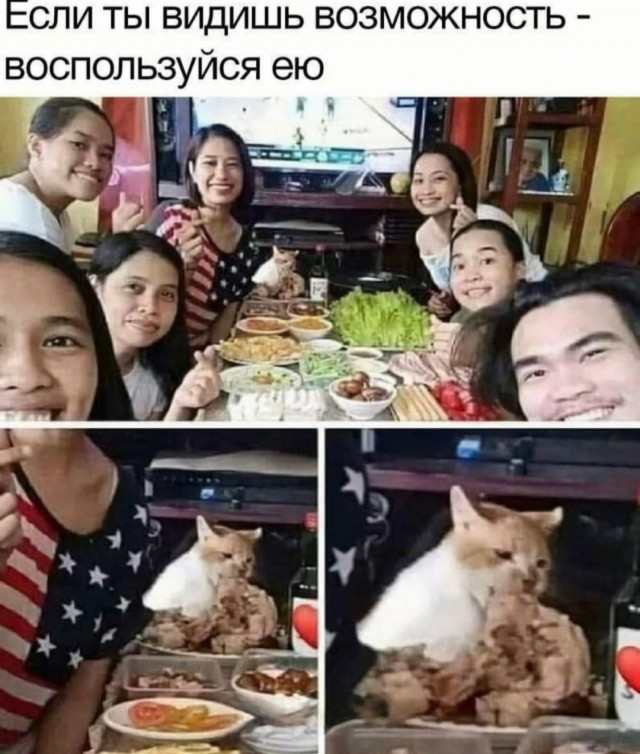 картинка c586471605 20760467