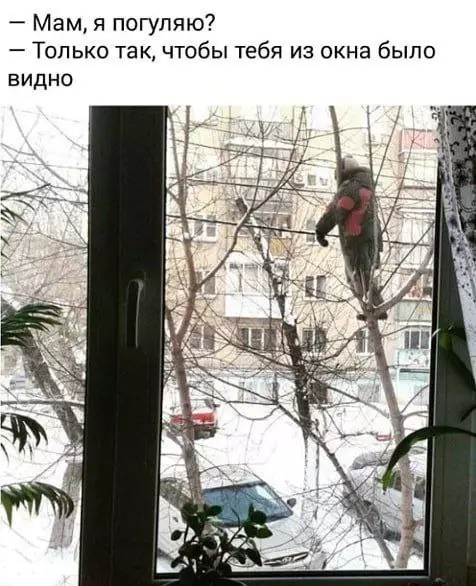 картинка c83947b331 20747933